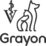 Grayon Grayon